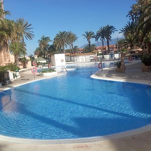 Apartamento de 3 Dormitorios